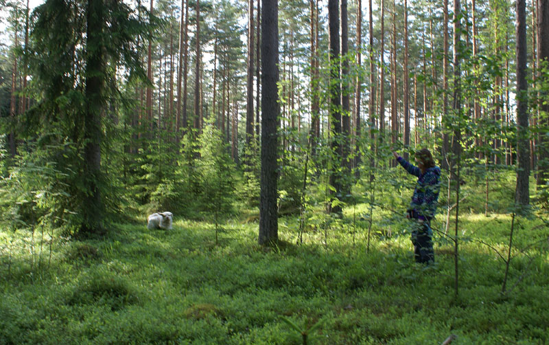 hunting_training_June2012_b_Keke_a