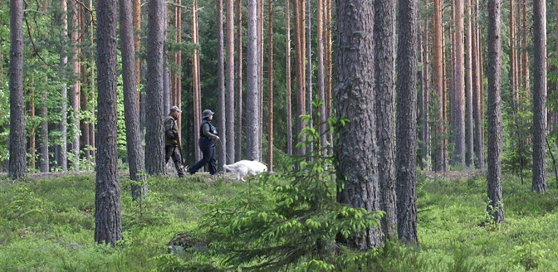 hunting_training_June2012_b_Kerkko_a