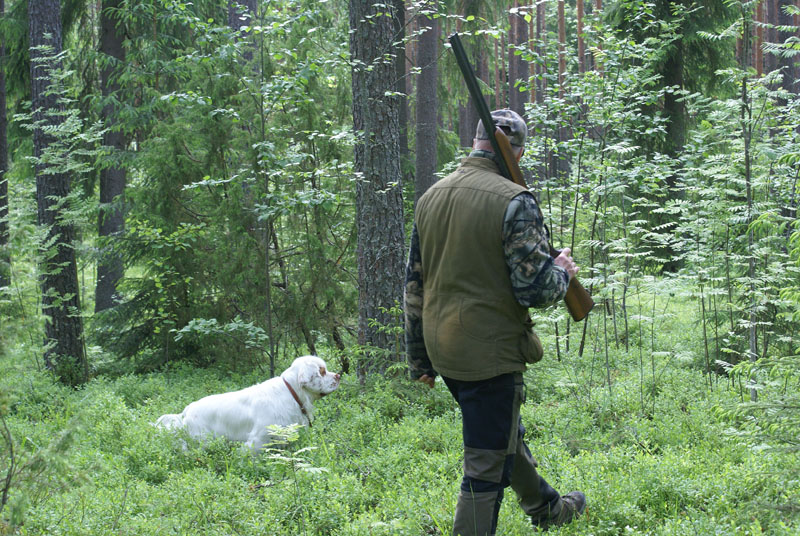 hunting_training_June2012_b_Kojo_a