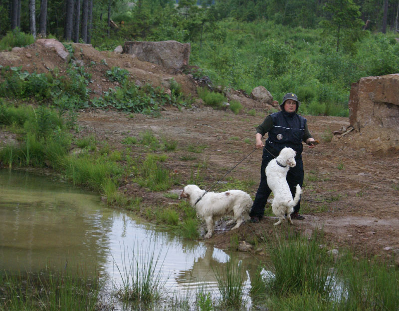 hunting_training_June2012_b_Kossi_Kerkko_a