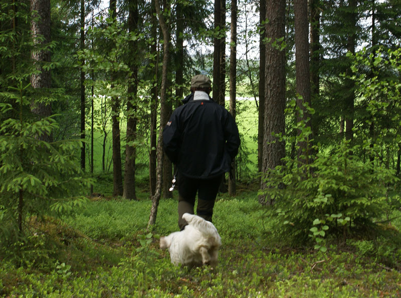 hunting_training_June2012_b_Sisi_b