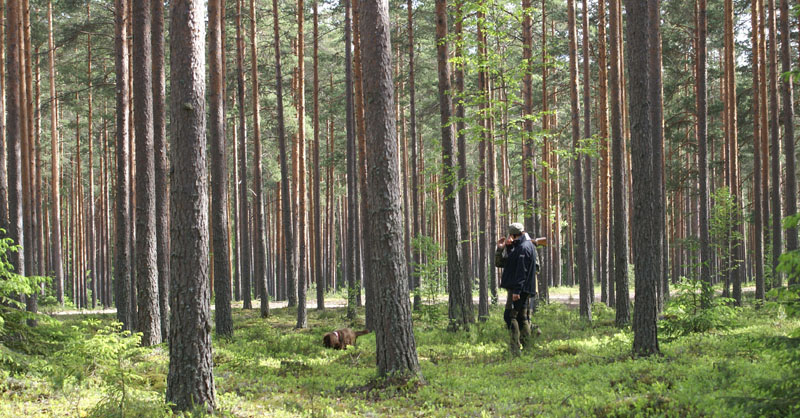 hunting_training_June2012_b_Tiana_a