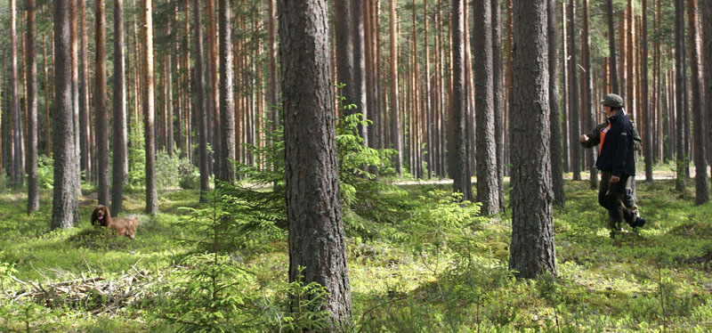 hunting_training_June2012_b_Tiana_b