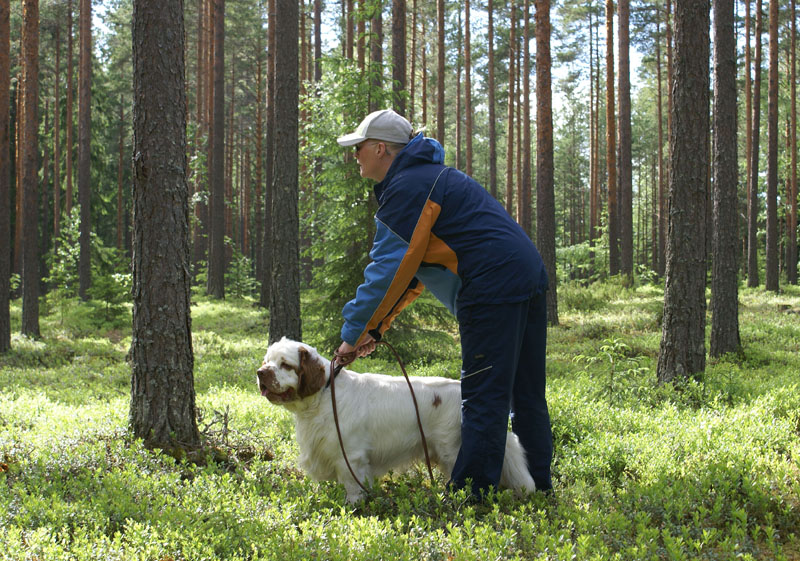 hunting_training_June2012_b_Toby_d