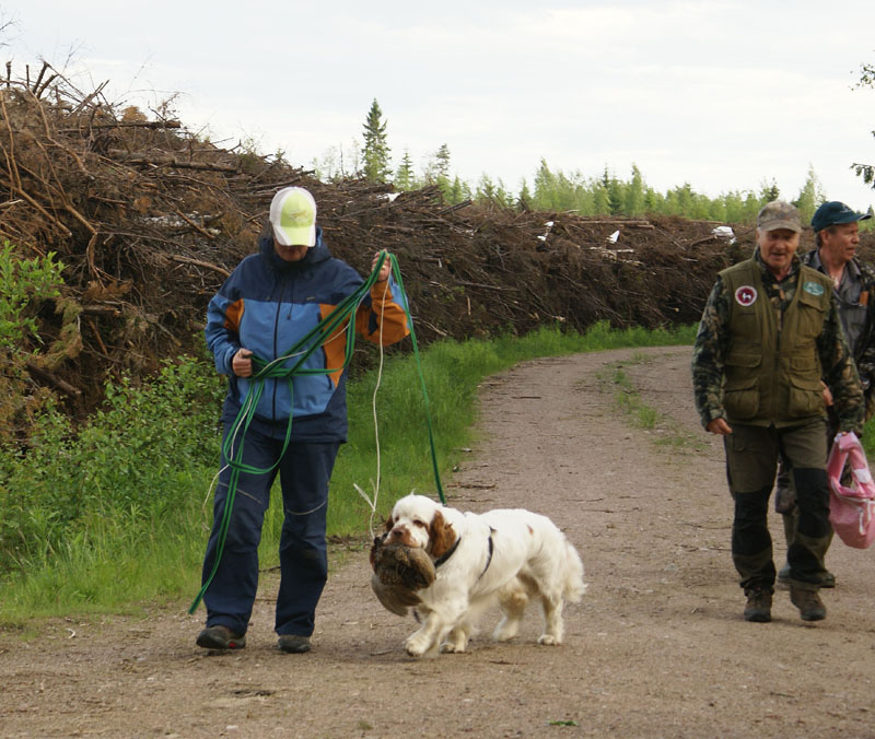 hunting_training_June2012_b_Toby_i