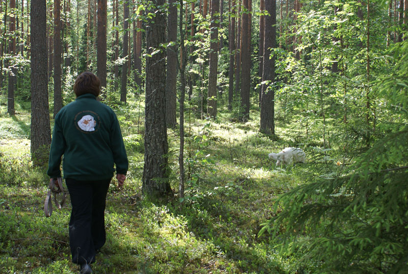 hunting_training_June2012_b_petunia_a