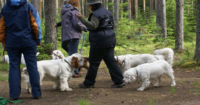 hunting_training_June2012_c