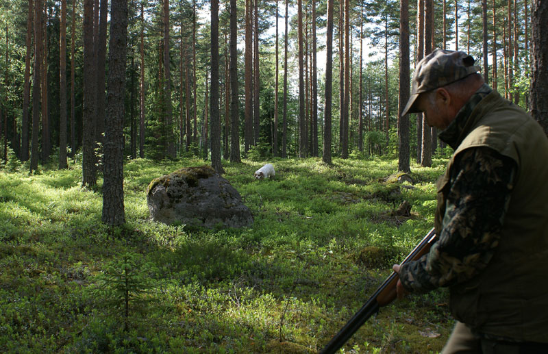 hunting_training_June2012_h