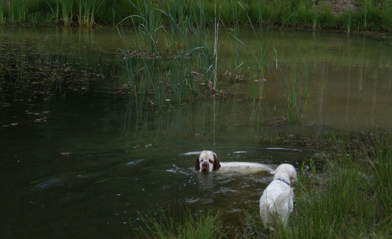 hunting_training_June2012_p