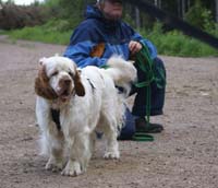 hunting_training_June2012_b_Toby_e