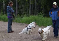 hunting_training_June2012_o