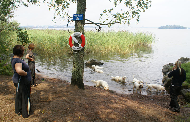 SWEClubShow2012_2_beach_next_to_accomodation_a