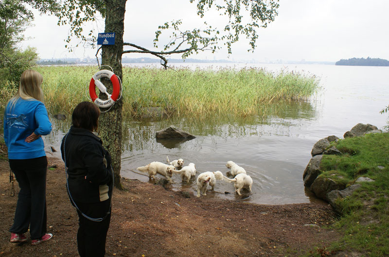 SWEClubShow2012_2_beach_next_to_accomodation_c