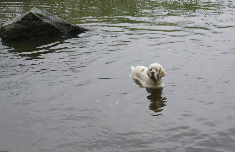 SWEClubShow2012_2_beach_next_to_accomodation_d