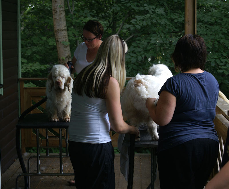 SWEClubShow2012_2_x_grooming_a