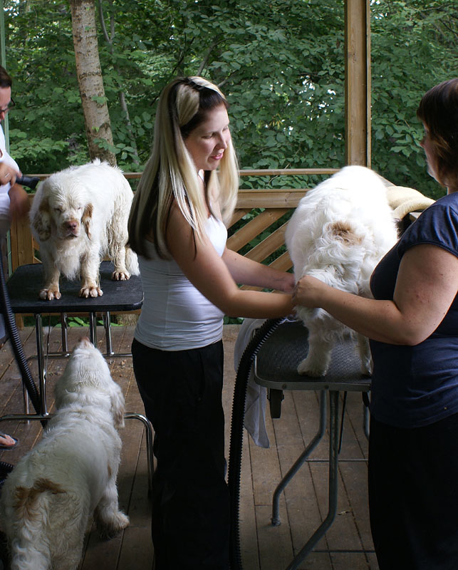 SWEClubShow2012_2_x_grooming_b