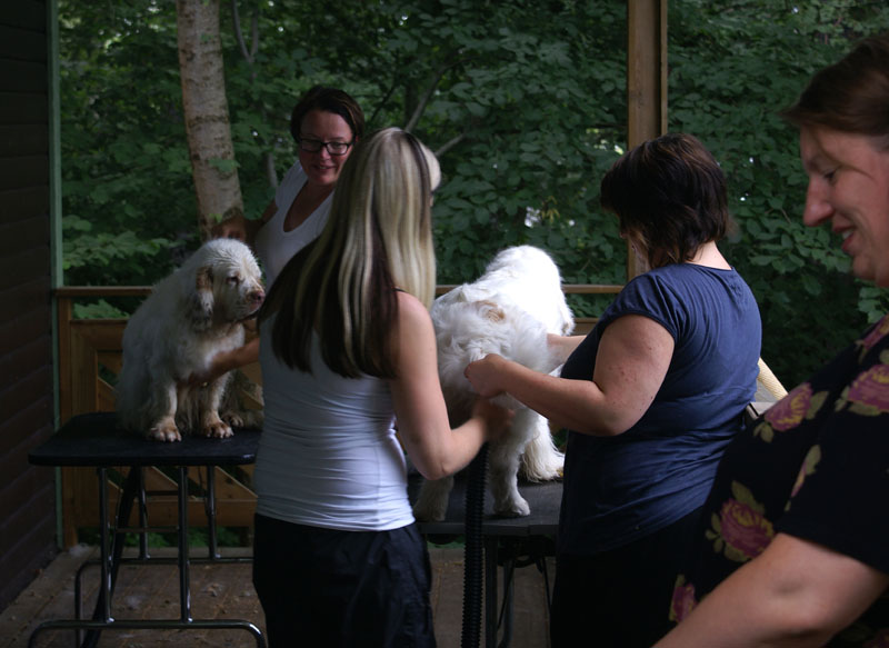 SWEClubShow2012_2_x_grooming_c