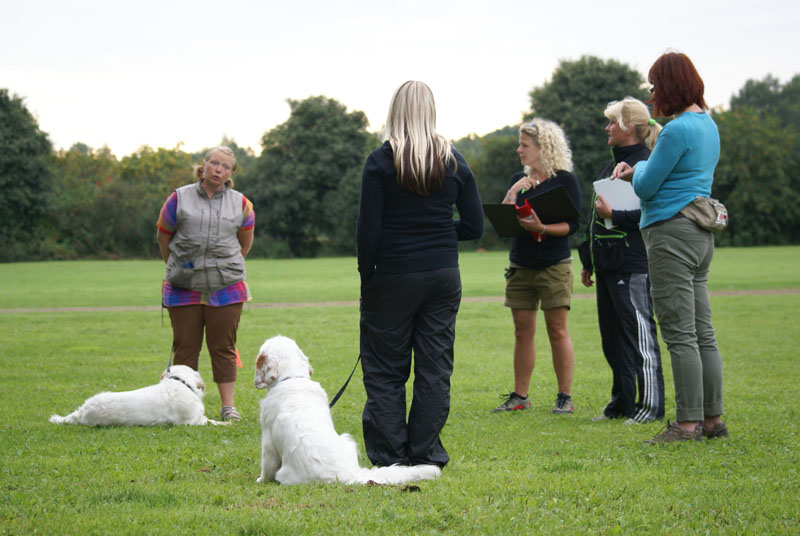 SWEClubShow2012_2a_Brenda_obedience_a