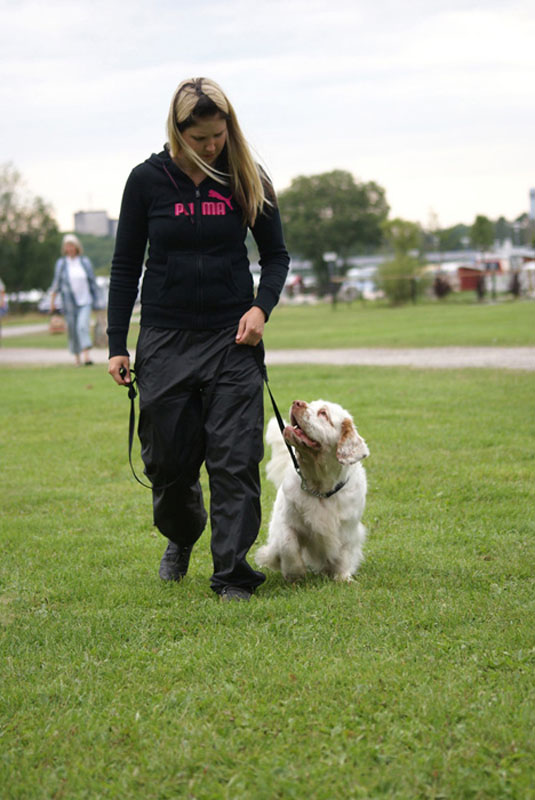 SWEClubShow2012_2a_Brenda_obedience_aa