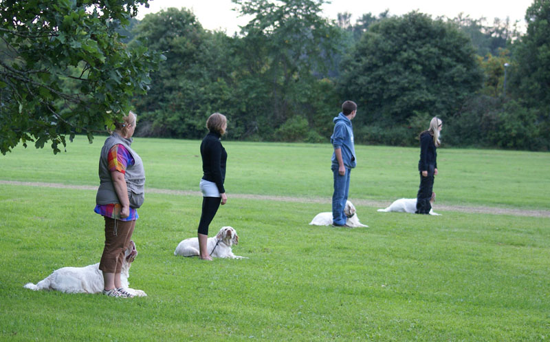SWEClubShow2012_2a_Brenda_obedience_b