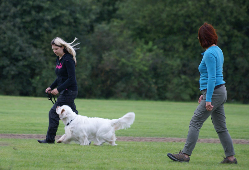 SWEClubShow2012_2a_Brenda_obedience_e