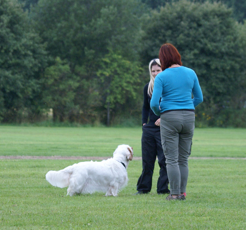SWEClubShow2012_2a_Brenda_obedience_f