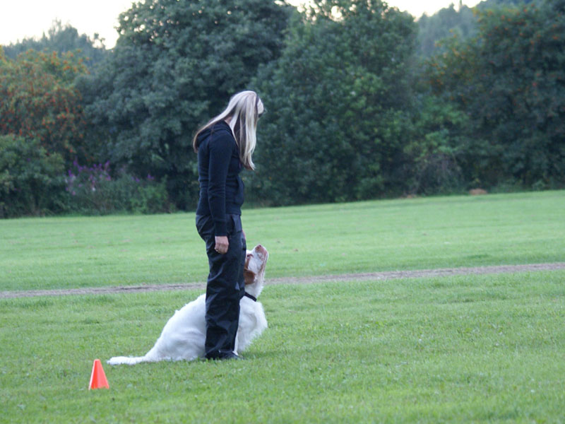 SWEClubShow2012_2a_Brenda_obedience_h