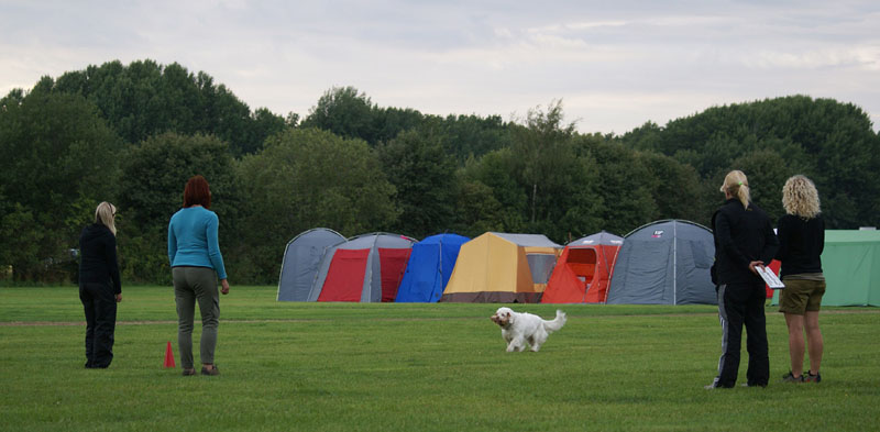 SWEClubShow2012_2a_Brenda_obedience_k
