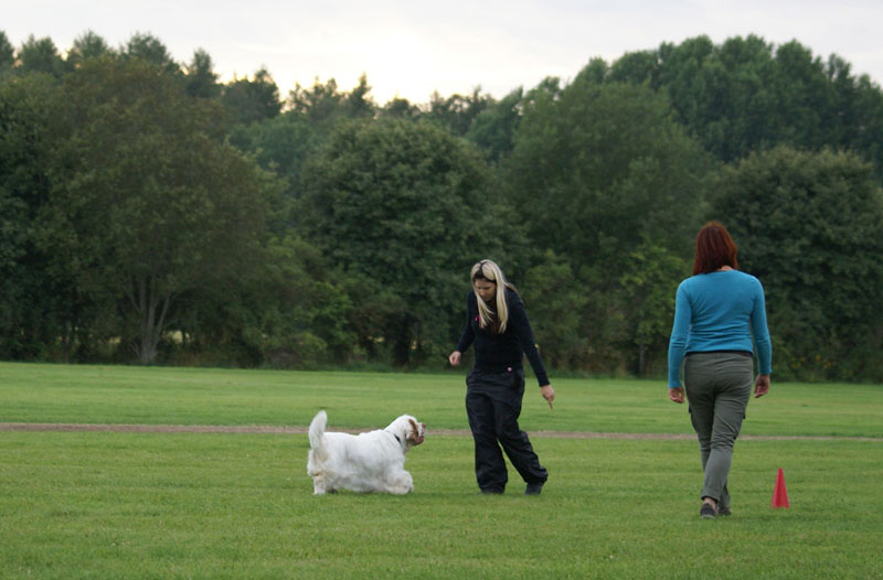 SWEClubShow2012_2a_Brenda_obedience_l