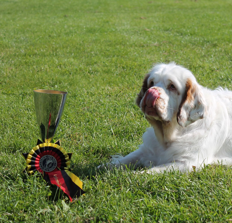 SWEClubShow2012_2a_Brenda_obedience_xd