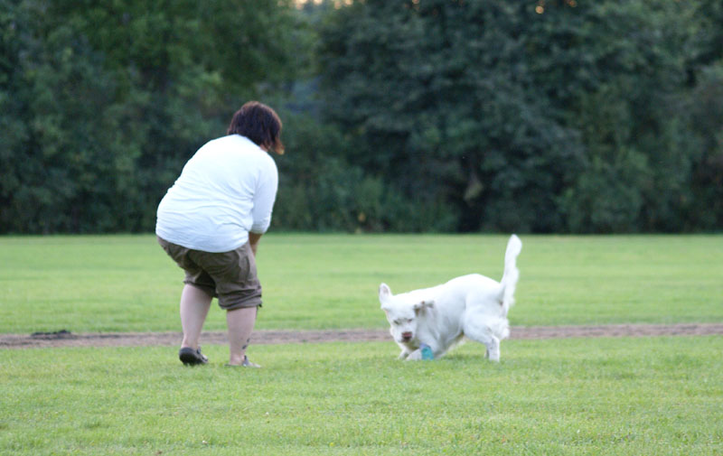 SWEClubShow2012_3_CocosCup_Kossi_a