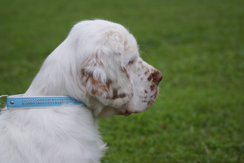 SWEClubShow2012_3_CocosCup_Kossi_f