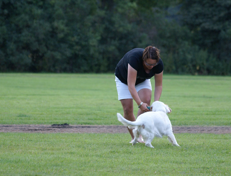 SWEClubShow2012_3_CocosCup_Sisi_b