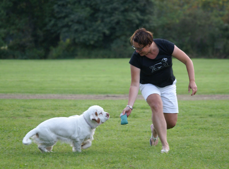 SWEClubShow2012_3_CocosCup_Sisi_c