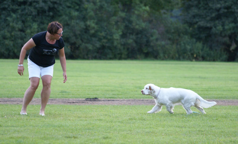 SWEClubShow2012_3_CocosCup_Sisi_d