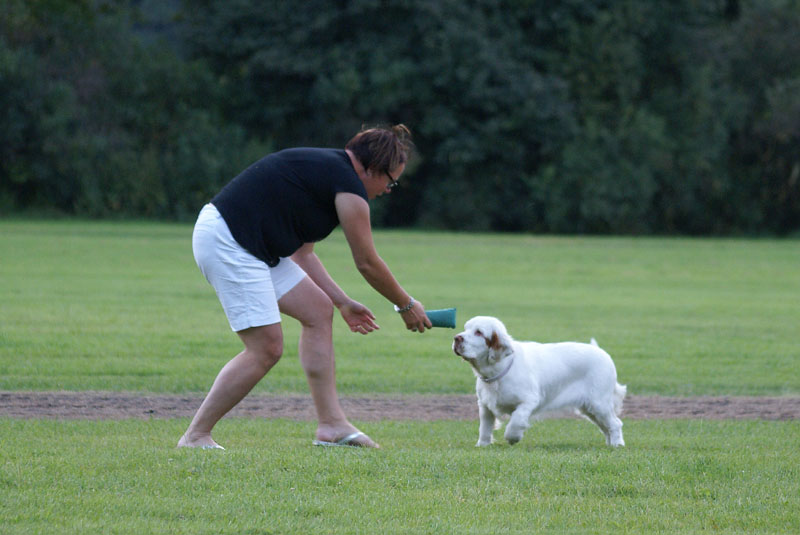 SWEClubShow2012_3_CocosCup_Sisi_e