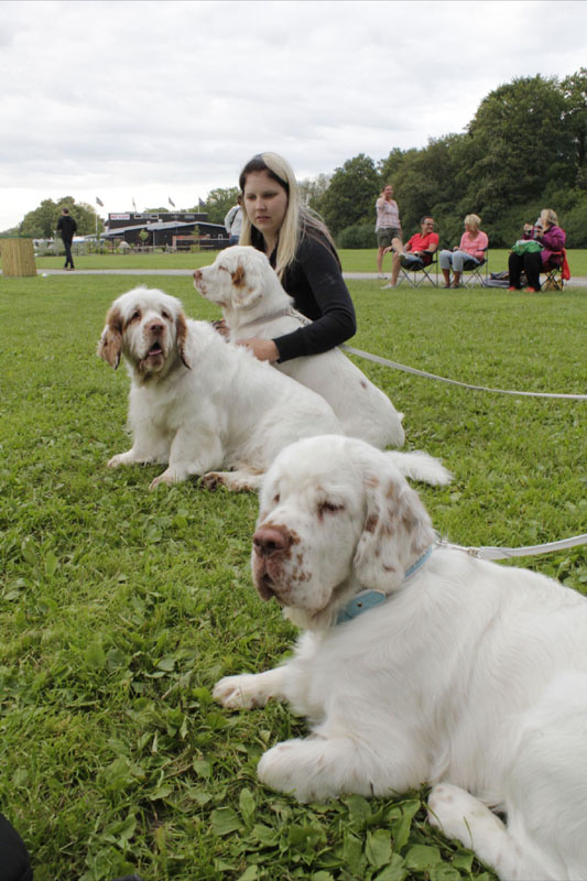 SWEClubShow2012_4_Susanna_