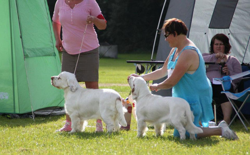 SWEClubShow2012_5_BIS1_BIS2_puppuppies_c