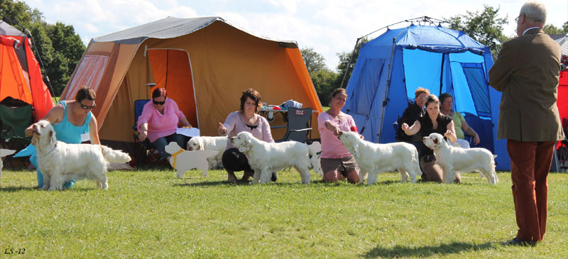 SWEClubShow2012_5_Bumbaa_Progeny_a