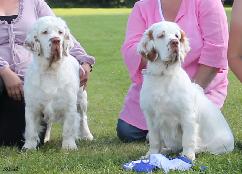 SWEClubShow2012_5_Bumbaa_Progeny_j