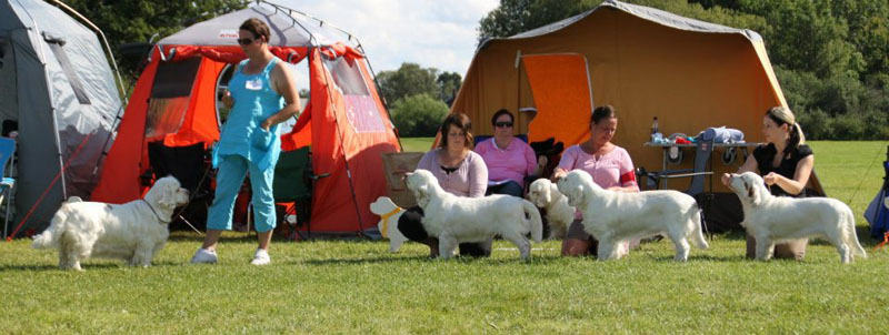 SWEClubShow2012_5_Bumbaa_Progeny_t