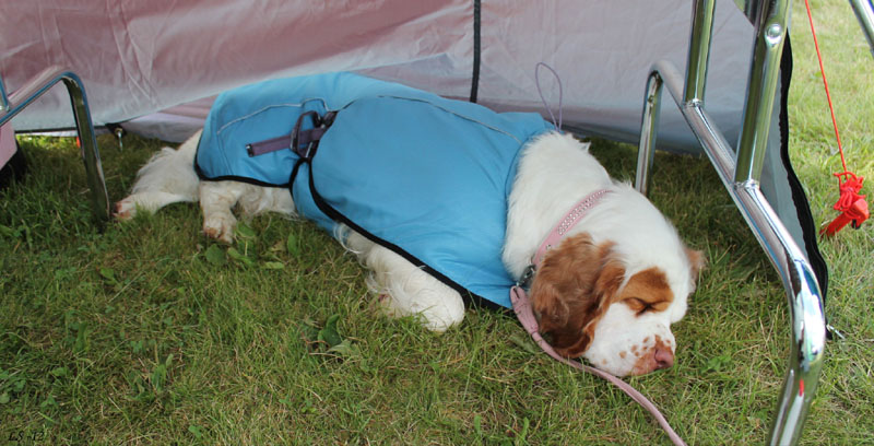 SWEClubShow2012_5_Hulda