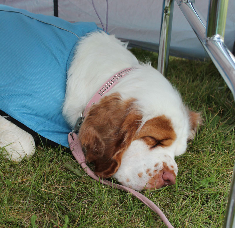 SWEClubShow2012_5_Hulda_b