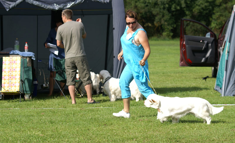 SWEClubShow2012_5_b_puppy_bitch_Sisi_a