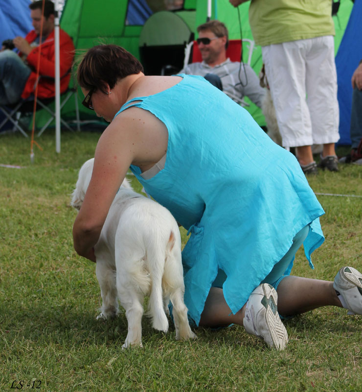 SWEClubShow2012_5_b_puppy_bitch_Sisi_h