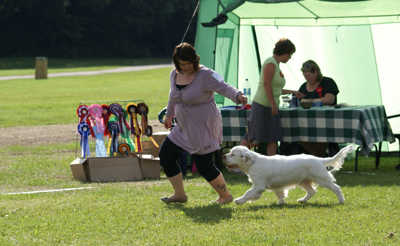 SWEClubShow2012_5_b_puppy_male_Kossi_a