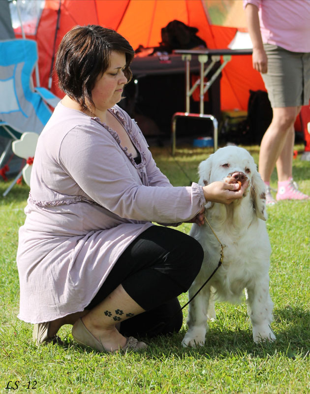 SWEClubShow2012_5_b_puppy_male_Kossi_n