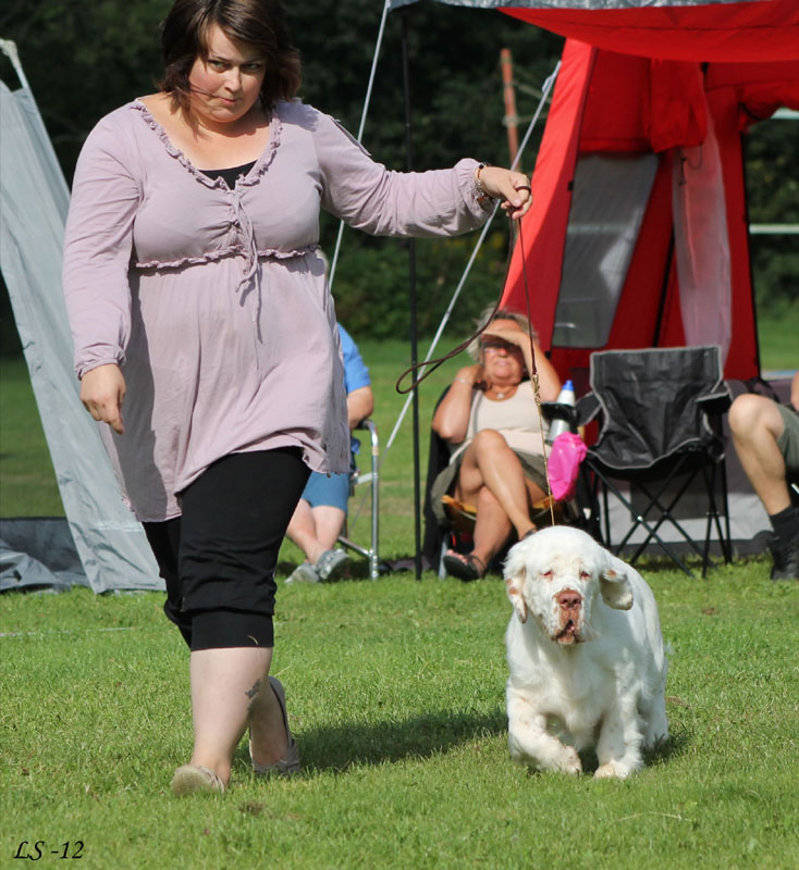 SWEClubShow2012_5_b_puppy_male_Kossi_p