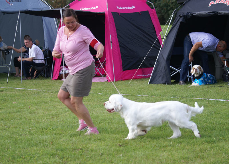 SWEClubShow2012_5_b_puppy_male_Ragnar_f