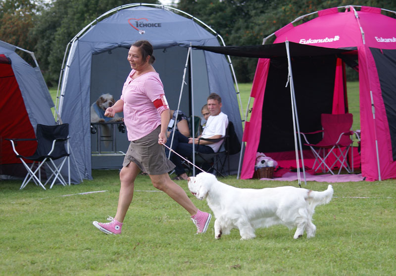 SWEClubShow2012_5_b_puppy_male_Ragnar_i